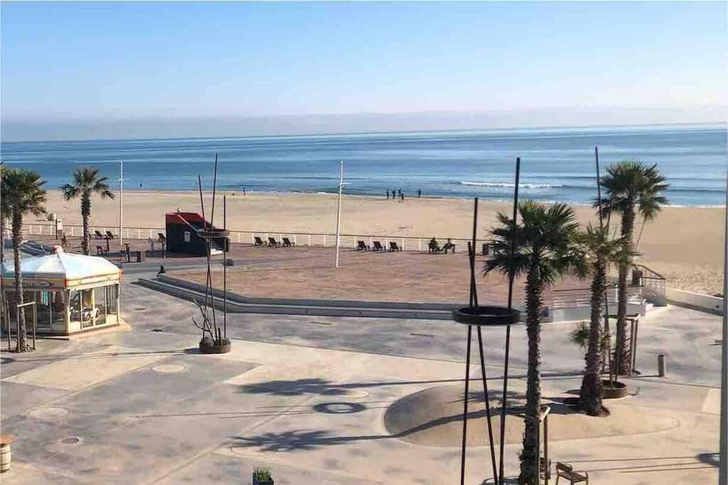 Appartement Face A La Mer Canet En Roussillon Zewnętrze zdjęcie